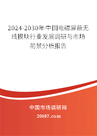 2024-2030年中国电磁屏蔽无线模块行业发展调研与市场前景分析报告