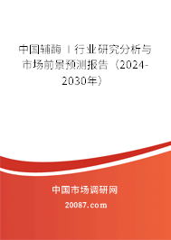 中国辅酶Ⅰ行业研究分析与市场前景预测报告（2024-2030年）