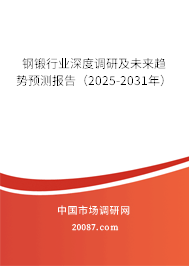 钢锻行业深度调研及未来趋势预测报告(2025-2031年) 钢锻行业深度调研及未来趋势预测报告(2025-2031年)