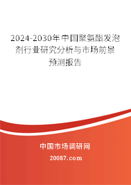 2024-2030年中国聚氨酯发泡剂行业研究分析与市场前景预测报告