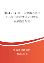 2024-2030年中国聚苯乙烯钢夹芯板市场现状调研分析与发展趋势报告