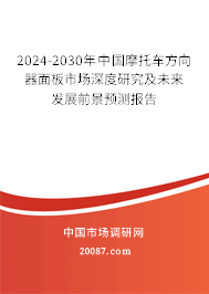 2024-2030年中国摩托车方向器面板市场深度研究及未来发展前景预测报告