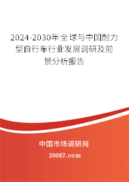 2024-2030年全球与中国耐力型自行车行业发展调研及前景分析报告