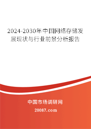 2024-2030年中国网络存储发展现状与行业前景分析报告