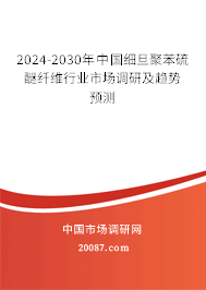 2024-2030年中国细旦聚苯硫醚纤维行业市场调研及趋势预测