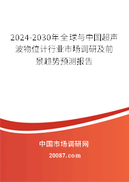 2024-2030年全球与中国超声波物位计行业市场调研及前景趋势预测报告