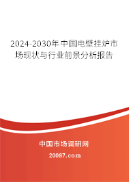 2024-2030年中国电壁挂炉市场现状与行业前景分析报告