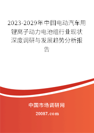 2023-2029年中国电动汽车用锂离子动力电池组行业现状深度调研与发展趋势分析报告