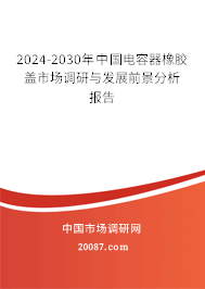 2024-2030年中国电容器橡胶盖市场调研与发展前景分析报告