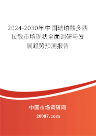 2024-2030年中国琥珀酸多西拉敏市场现状全面调研与发展趋势预测报告