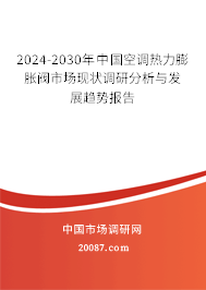 2024-2030年中国空调热力膨胀阀市场现状调研分析与发展趋势报告