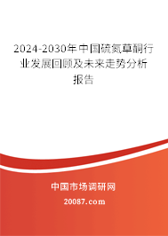 2024-2030年中国硫氮草酮行业发展回顾及未来走势分析报告