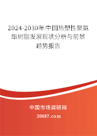 2024-2030年中国热塑性聚氨酯树脂发展现状分析与前景趋势报告