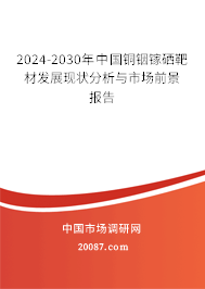 2024-2030年中国铜铟镓硒靶材发展现状分析与市场前景报告