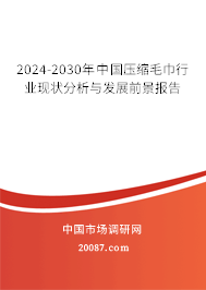 2024-2030年中国压缩毛巾行业现状分析与发展前景报告