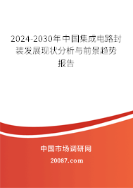 2024-2030年中国集成电路封装发展现状分析与前景趋势报告