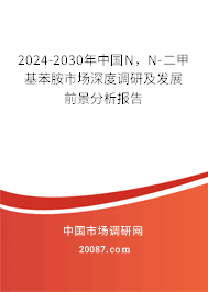 2024-2030年中国N，N-二甲基苯胺市场深度调研及发展前景分析报告