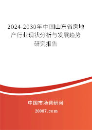 2024-2030年中国山东省房地产行业现状分析与发展趋势研究报告