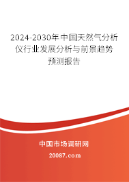 2024-2030年中国天然气分析仪行业发展分析与前景趋势预测报告