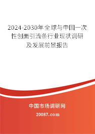 2024-2030年全球与中国一次性创面引流条行业现状调研及发展前景报告