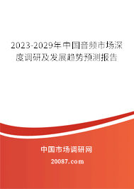 2023-2029年中国音频市场深度调研及发展趋势预测报告