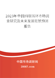 2023年中国纯银耳环市场调查研究及未来发展前景预测报告