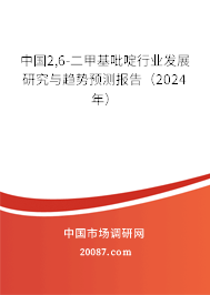 中国2,6-二甲基吡啶行业发展研究与趋势预测报告（2024年）