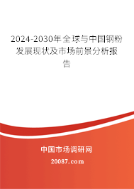 2024-2030年全球与中国钢粉发展现状及市场前景分析报告