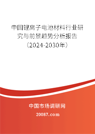 中国锂离子电池材料行业研究与前景趋势分析报告（2024-2030年）