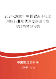 2024-2030年中国锂离子电池隔膜行业现状深度调研与发展趋势预测报告