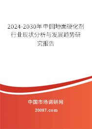 2024-2030年中国地面硬化剂行业现状分析与发展趋势研究报告