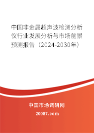 中国非金属超声波检测分析仪行业发展分析与市场前景预测报告（2024-2030年）