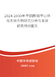 2024-2030年中国数据中心供电系统市场研究分析与发展趋势预测报告