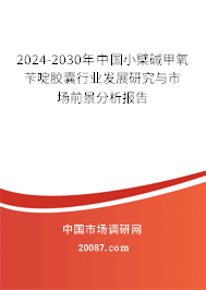 2024-2030年中国小檗碱甲氧苄啶胶囊行业发展研究与市场前景分析报告