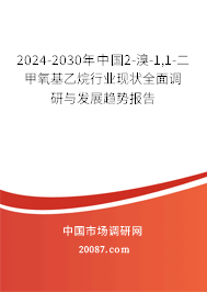 2024-2030年中国2-溴-1,1-二甲氧基乙烷行业现状全面调研与发展趋势报告