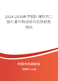 2024-2030年中国3-噻吩丙二酸行业市场调研与前景趋势预测