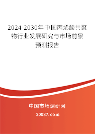 2024-2030年中国丙烯酸共聚物行业发展研究与市场前景预测报告