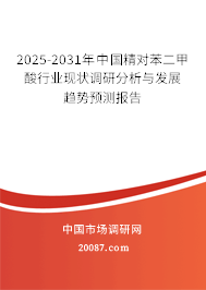 2025-2031年中国精对苯二甲酸行业现状调研分析与发展趋势预测报告 2025-2031年中国精对苯二甲酸行业现状调研分析与发展趋势预测报告