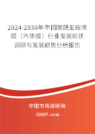 2024-2030年中国聚酰亚胺薄膜（PI薄膜）行业发展现状调研与发展趋势分析报告