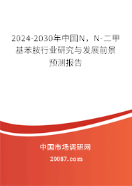 2024-2030年中国N，N-二甲基苯胺行业研究与发展前景预测报告