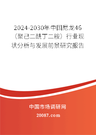 2024-2030年中国尼龙46（聚己二酰丁二胺）行业现状分析与发展前景研究报告