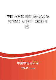 中国汽车检测市场研究及发展前景分析报告(2025年版) 中国汽车检测市场研究及发展前景分析报告(2025年版)