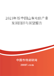 2023年版中国山东电信产业发展回顾与展望报告