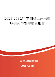 2025-2031年中国粘土开采市场研究与发展前景报告 2025-2031年中国粘土开采市场研究与发展前景报告