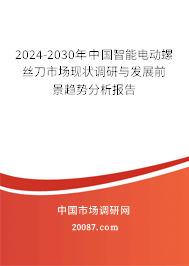 2024-2030年中国智能电动螺丝刀市场现状调研与发展前景趋势分析报告