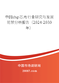 中国dsp芯片行业研究与发展前景分析报告（2024-2030年）