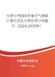 全球与中国乘用车空气弹簧行业现状及市场前景分析报告（2024-2030年）