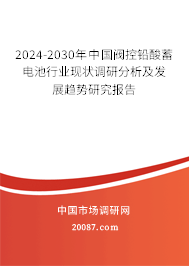 2024-2030年中国阀控铅酸蓄电池行业现状调研分析及发展趋势研究报告