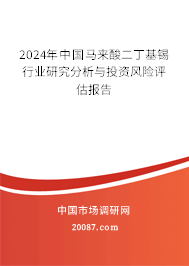 2024年中国马来酸二丁基锡行业研究分析与投资风险评估报告