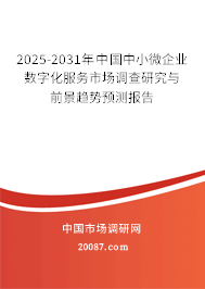 2025-2031年中国中小微企业数字化服务市场调查研究与前景趋势预测报告 2025-2031年中国中小微企业数字化服务市场调查研究与前景趋势预测报告